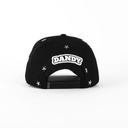 DAN10-3.jpg