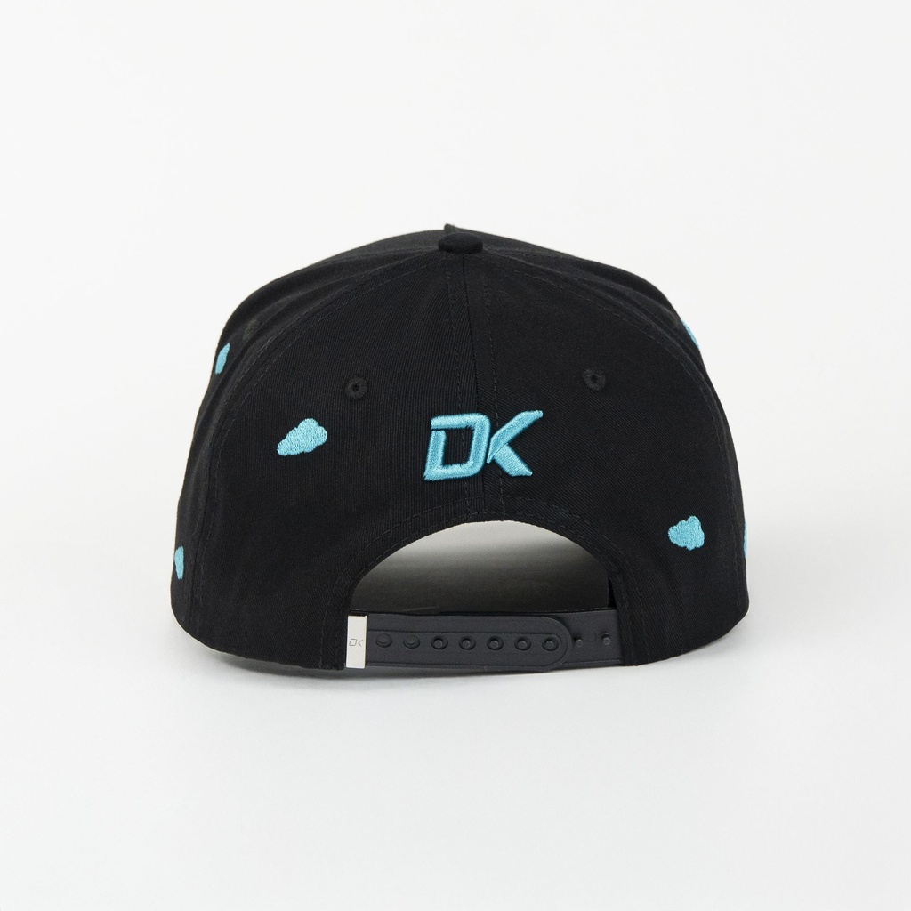 DKPS13-3.jpg