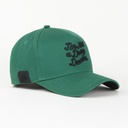 Gorra Cash Only IM NOT A DRUG DEALER GREEN | Snapback Visera Semicurva