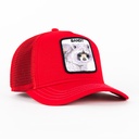 Gorra Goorin Bros THE BANDIT RED | Snapback Visera Curva