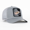 Gorra Goorin Bros THE RAGE SHARK GREY | Snapback Visera Curva