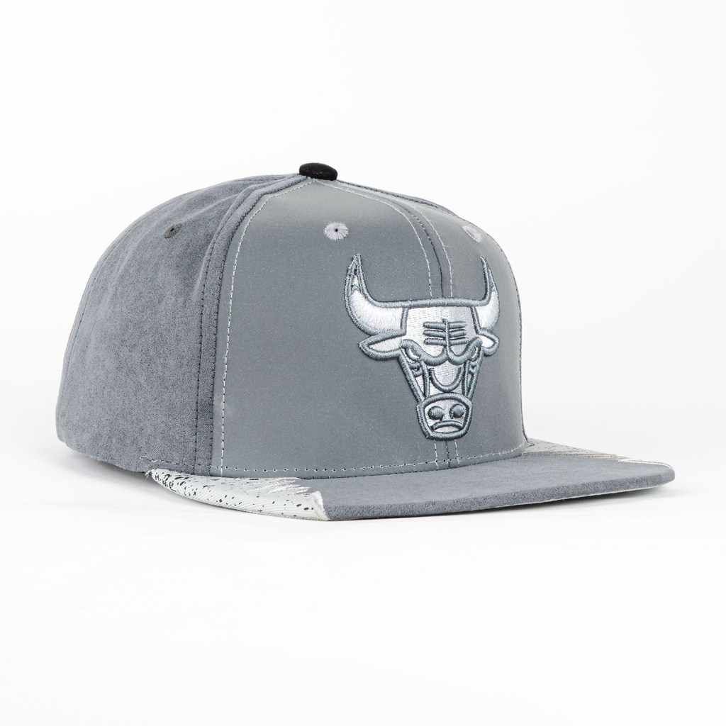 Gorra Mitchell & Ness BULLS DAY 5 GRY/LT GRY
| Visera Plana