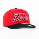 Gorra Mitchell&Ness BULLS TEAM SCRIPT RED/BLK | Snapback Visera Semicurva