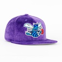 Gorra Mitchell&Ness HORNETS TC VELDUR PUPLE SUEDE | Snapback Visera Plana