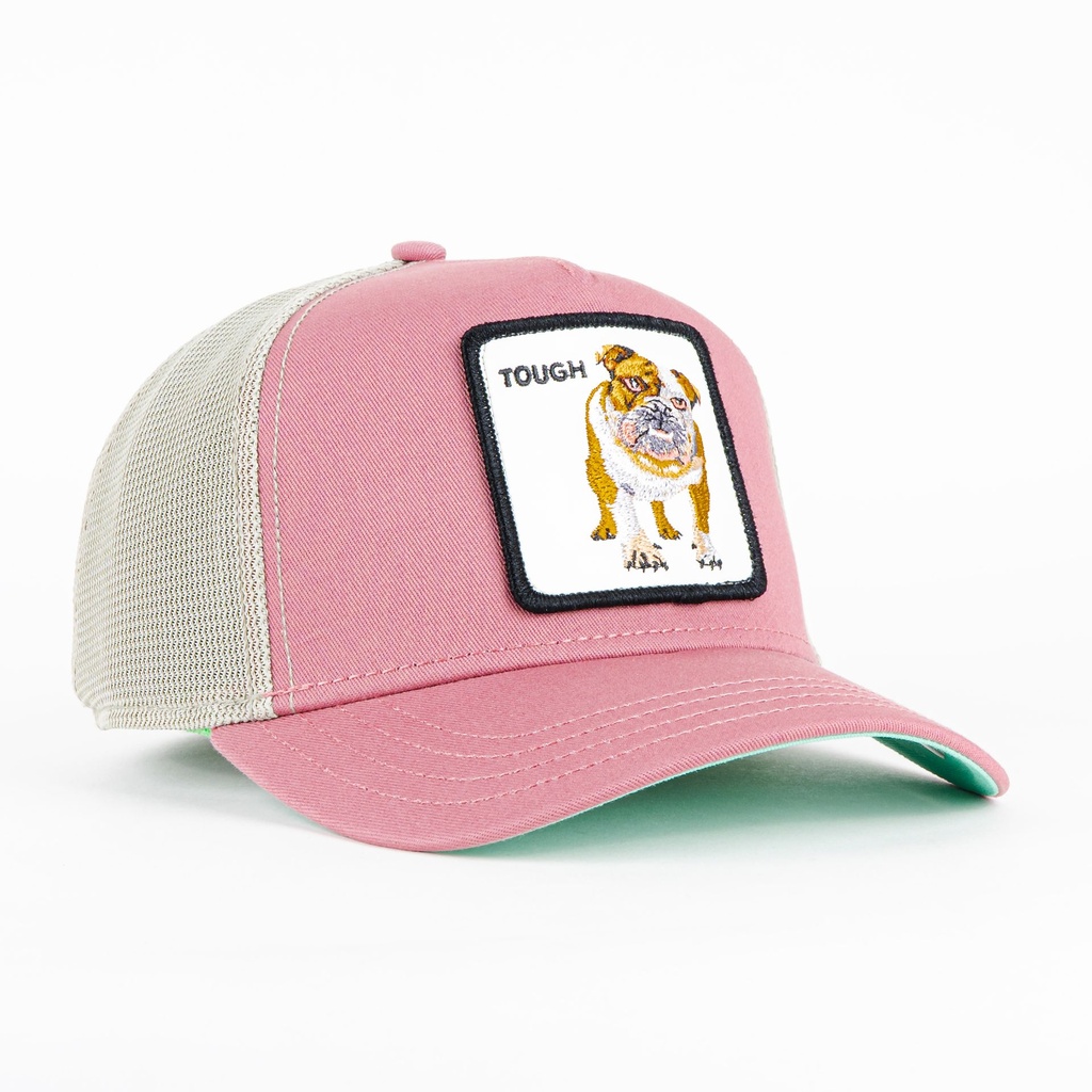 Gorra Goorin Bros BULLDOG TOUGH PINK | Snapback Visera Curva