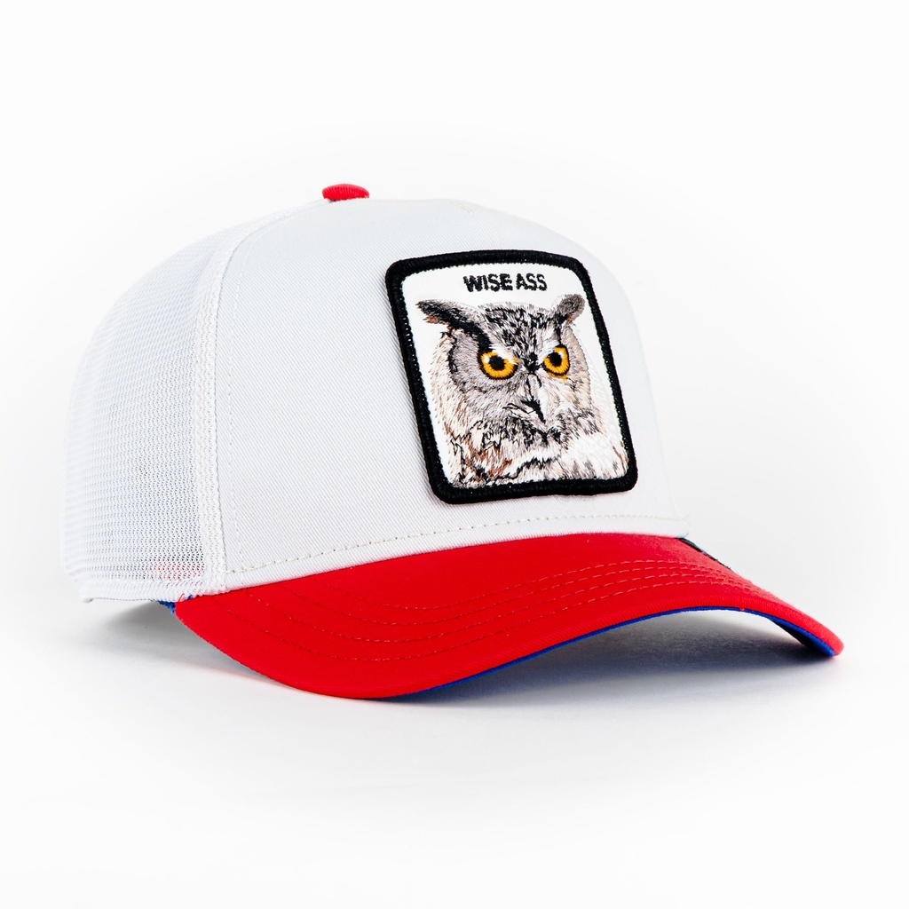 Gorra Goorin Bros CUM LAUDE WISE ASS WHITE/RED | Snapback Visera Curva