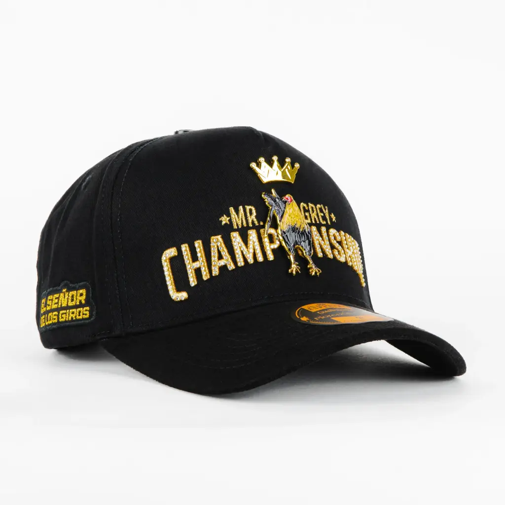 Gorra Florence caps MR GREY BLACK | Snapback Visera Curva