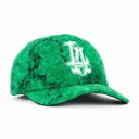 LA PAISLEY GREEN