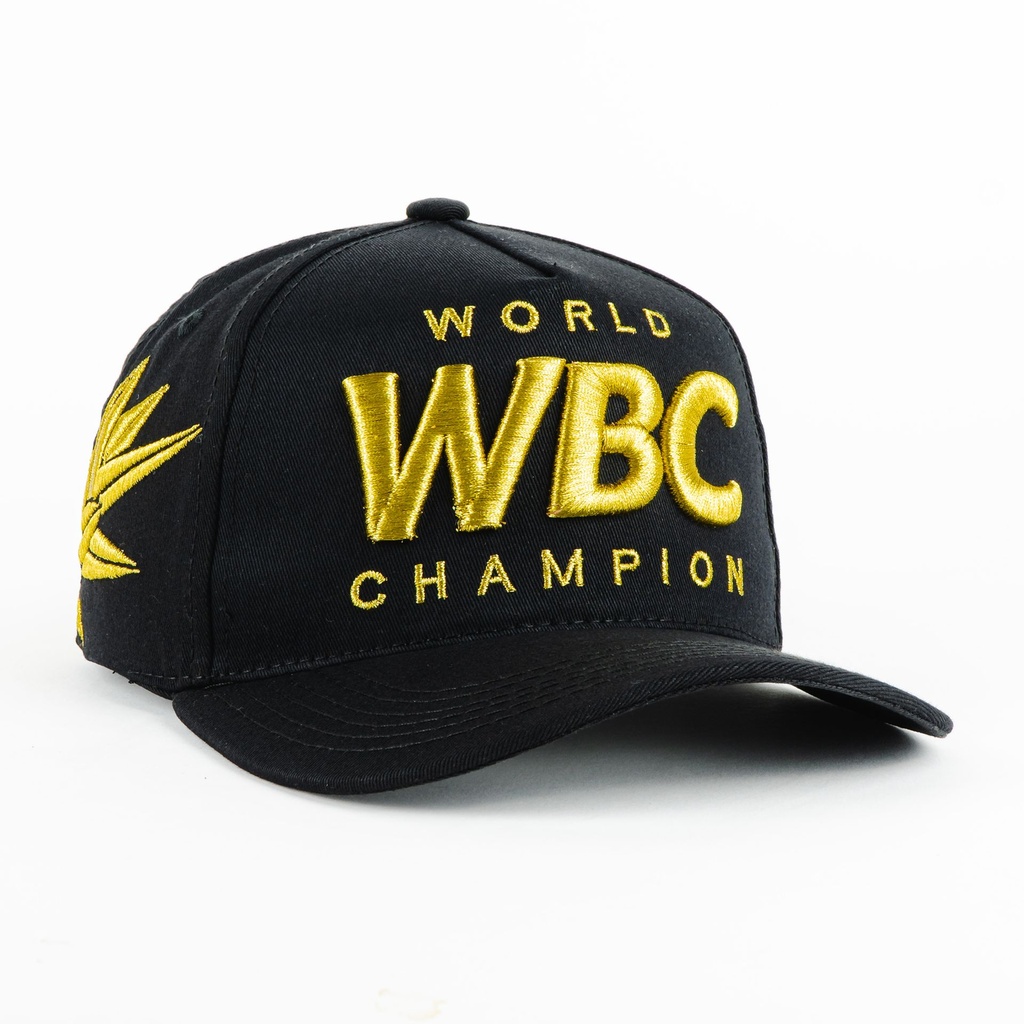 Gorra Diez Cuatro WBC BLACK | Snapback Visera Semicurva