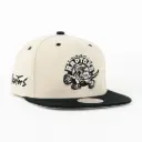 RAPTORS EVERGREEN CREAM/BLK