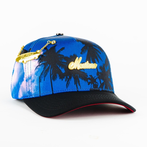[637902351208] Gorra 5.7 PLACA MONTANA PALMERA BLUE/BLACK | Snapback Visera Semicurva