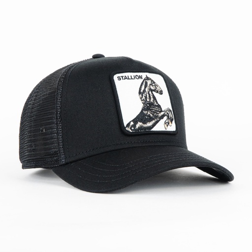 [090625499051] HORSE STALLION BLK