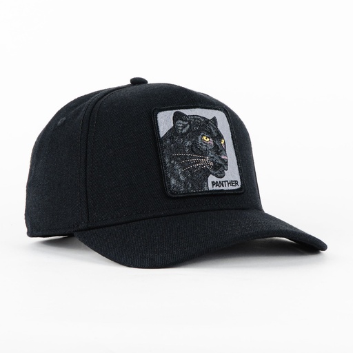 [090625494988] Gorra Goorin Bros PANTHER FIELD BLK | Snapback Visera Curva