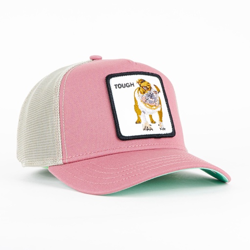 [090625525224] Gorra Goorin Bros BULLDOG TOUGH PINK | Snapback Visera Curva