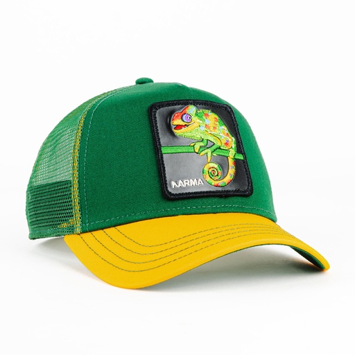 [090625522742] Gorra Goorin Bros THE KARMA CHAMELEON GREEN | Snapback Visera Curva
