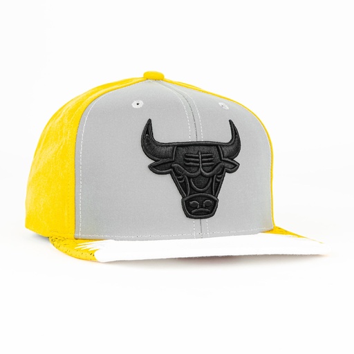 [195563196359] Gorra Mitchell&Ness BULLS DAY 5 YELL/WHT | Snapback Visera Plana