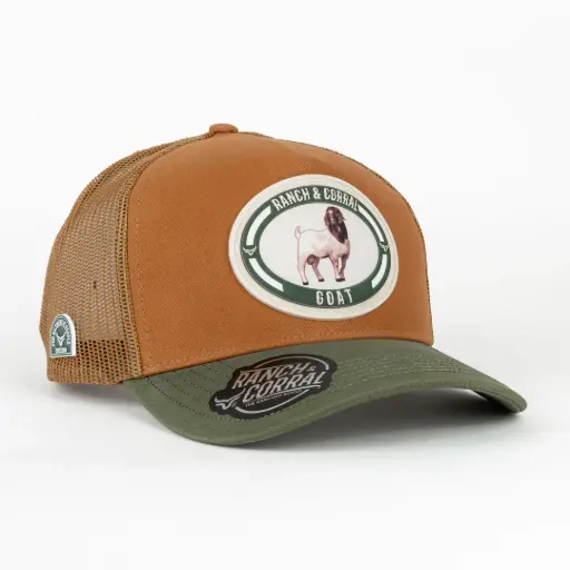 [7506552410647] [RCCP06] CAPRINO 6 CAMEL/GREEN