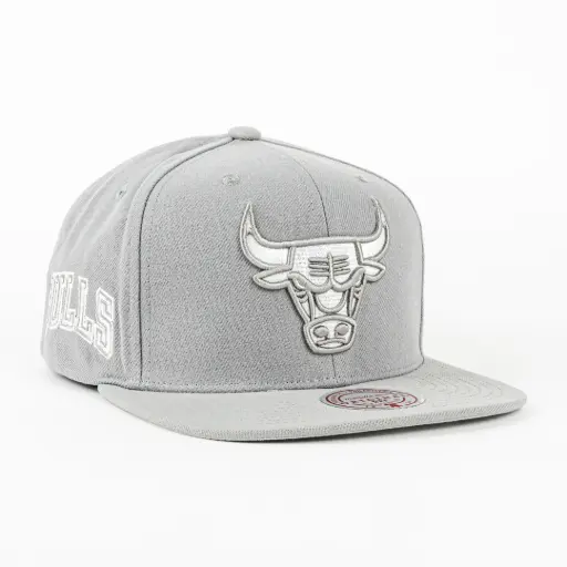 [197932044780] BULLS EVERGREEN GREY