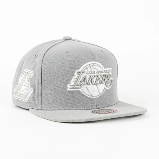 [197932044803] LAKERS EVERGREEN GREY