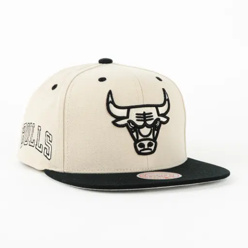 [197932497524] BULLS EVERGREEN CREAM/BLK