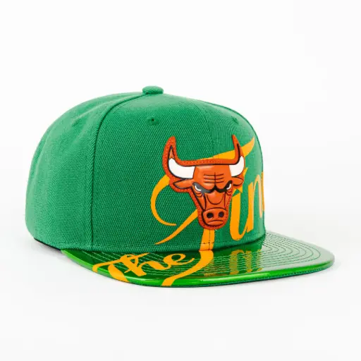 [196945854942] BULLS FINALS WRAP GREEN